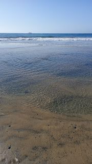 GC-Playa de Maspalomas 2026-092.jpg